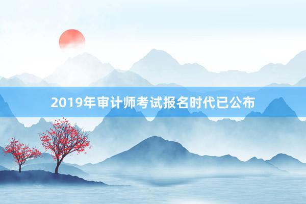 2019年审计师考试报名时代已公布