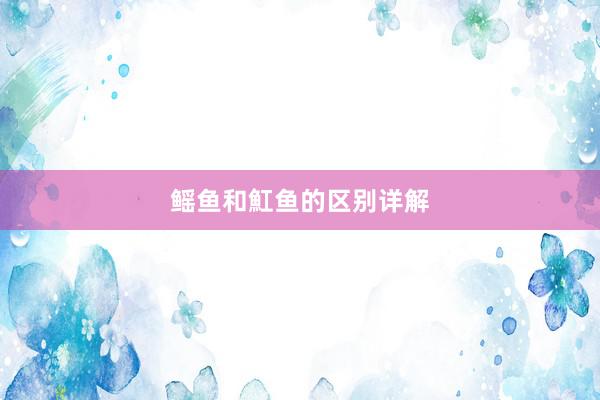 鳐鱼和魟鱼的区别详解